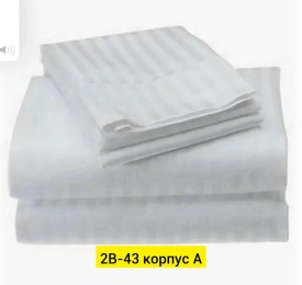 Одежда