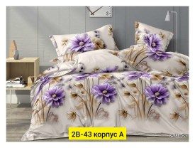 Одежда