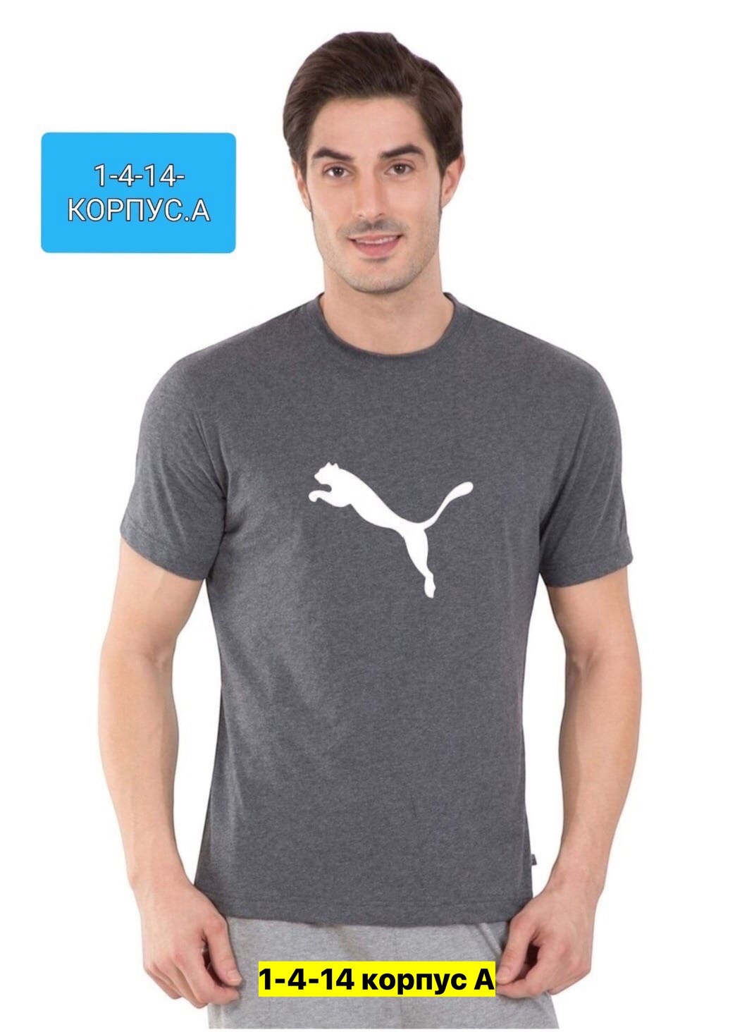 мужские футболки lacoste,футболки lacoste,футболка мужская,lacoste мужские,lacoste одежда
