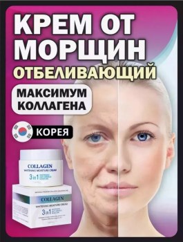 Одежда