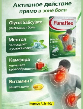 Одежда