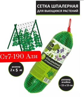 Новый год