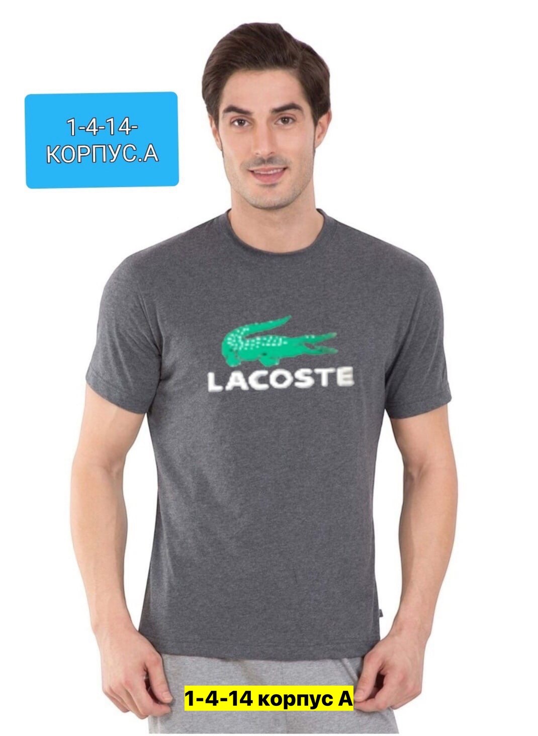мужские футболки lacoste,футболки lacoste,футболка мужская,lacoste мужские,lacoste одежда