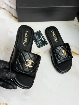 Сланцы