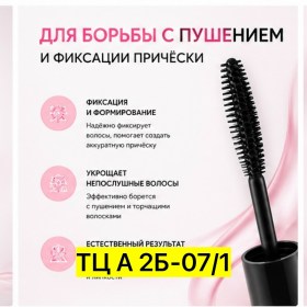 Одежда