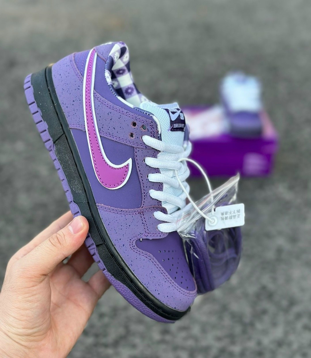 nike sb dunk low concepts purple lobster,nike sb dunk low purple,кроссовки nike sb dunk low "purple lobster",nike sb dunk low purple lobster,кроссовки nike