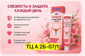 Одежда