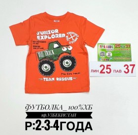 Футболка