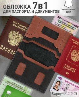 Одежда