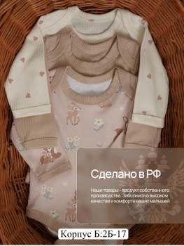 Боди