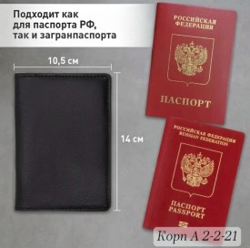 Одежда