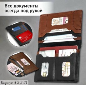 Одежда