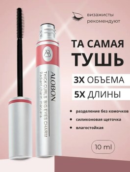 Одежда