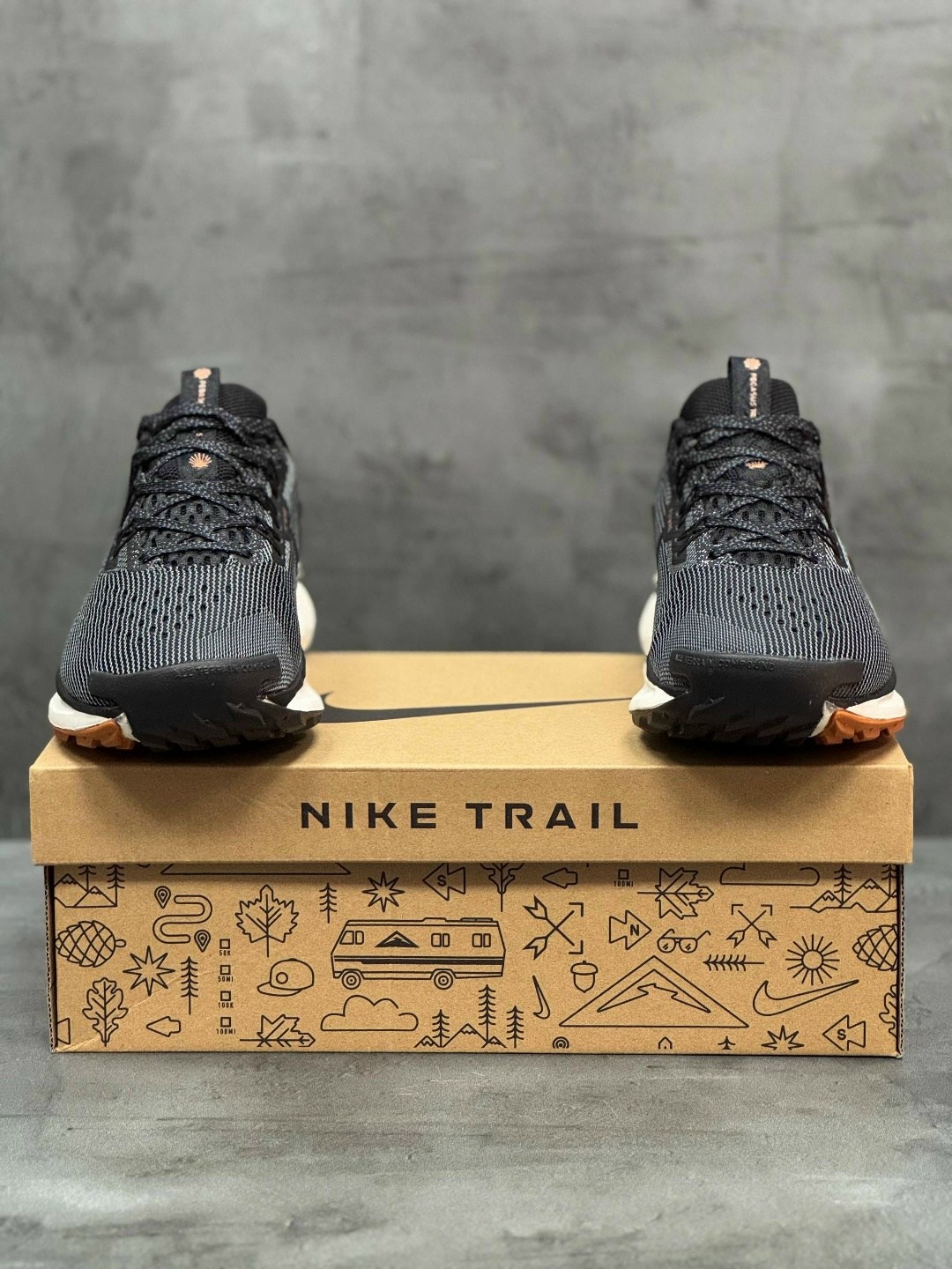 кроссовки nike pegasus trail,nike pegasus trail 5,nike pegasus trail 5 gore tex,кроссовки nike pegasus,кроссовки мужские nike