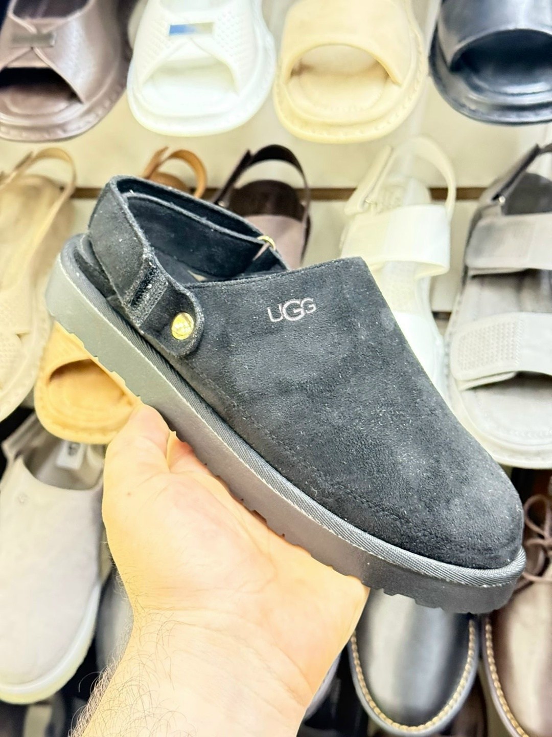 ,ugg goldenstar clog,угги из натуральной замши,угги женские,обуви