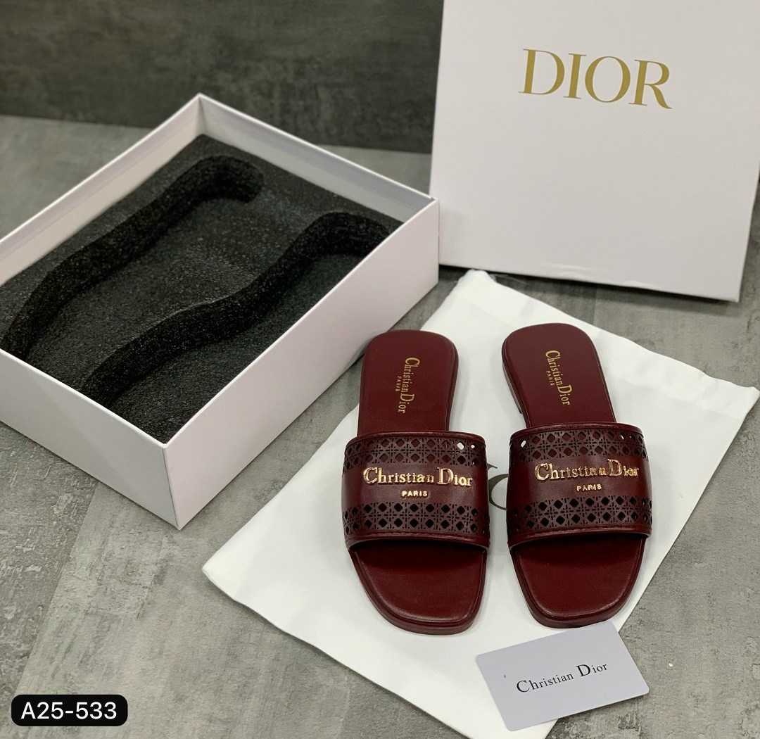 dior dway шлепанцы,шлепанцы christian dior,тапочки dior,christian dior шлепанцы коллекция 2026,шлепки диор