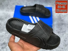 Сланцы