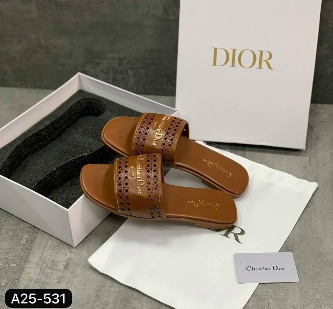 dior dway шлепанцы,шлепанцы christian dior,тапочки dior,christian dior шлепанцы коллекция 2026,шлепки диор