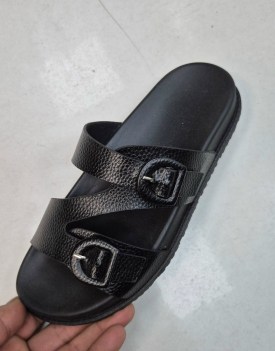 Сланцы