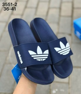 Сланцы