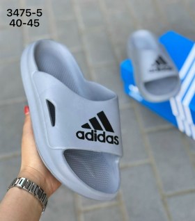 Сланцы