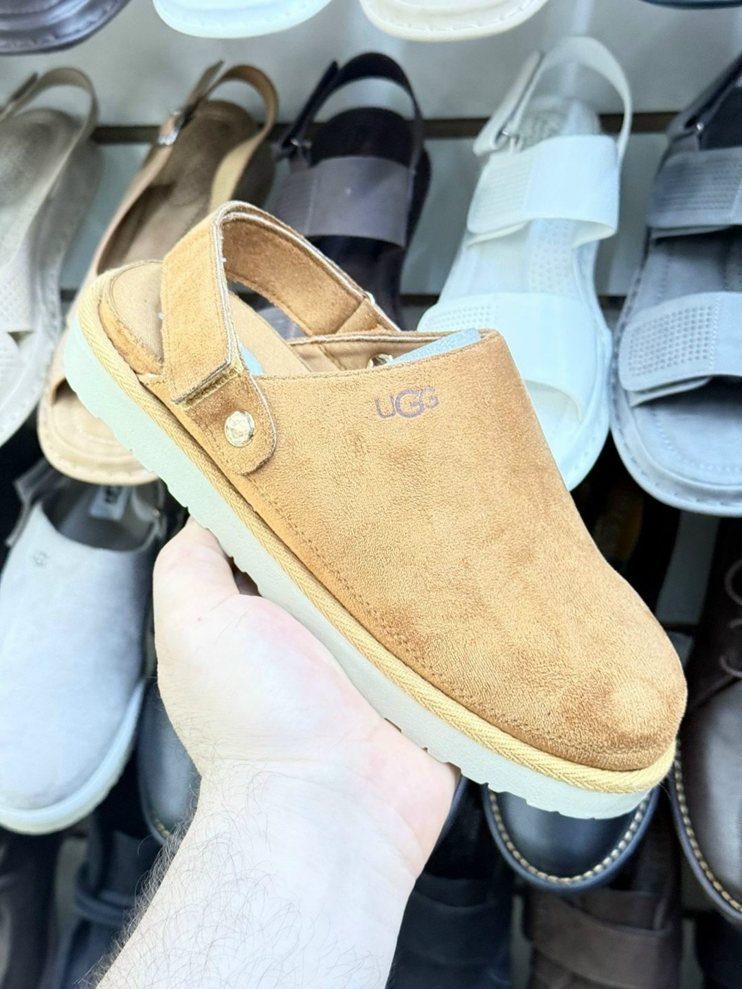 ,ugg goldenstar clog,угги из натуральной замши,угги женские,обуви
