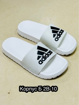 Сланцы