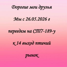 Новый год