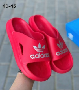 Сланцы