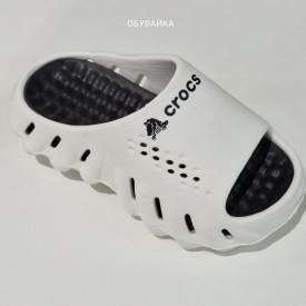 Сланцы