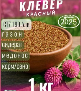Новый год