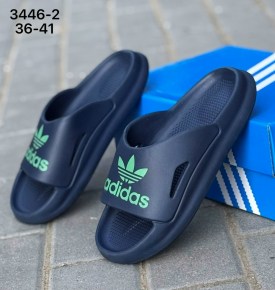 Сланцы