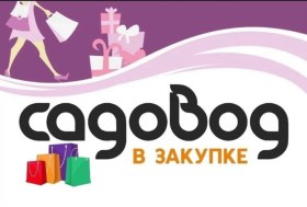 Одежда