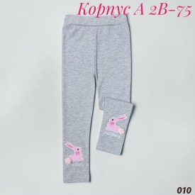 Леггинсы