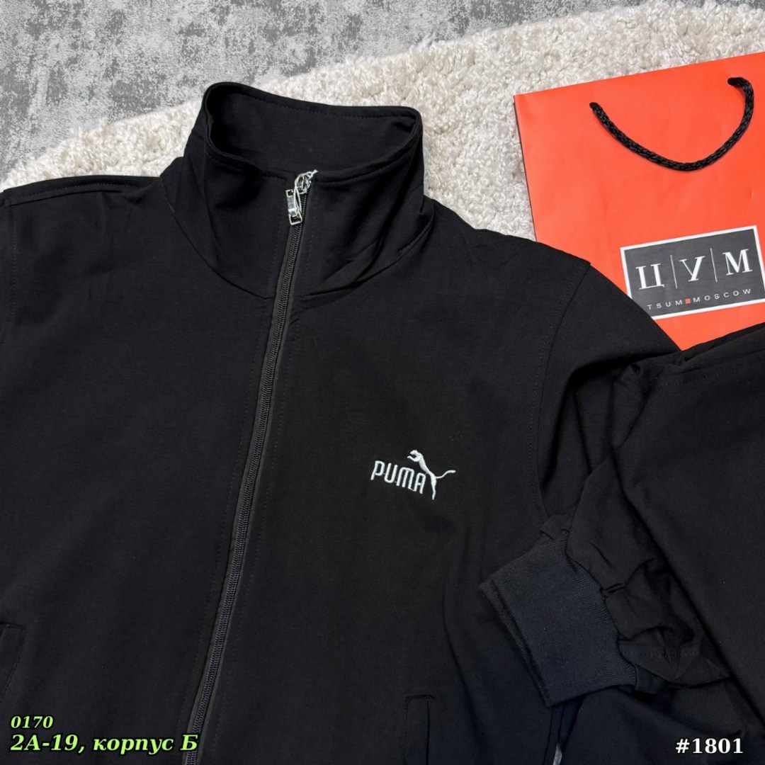 спортивный костюм мужской puma,спортивный костюм "puma",костюм мужской puma,спортивные костюмы мужские,олимпийка puma