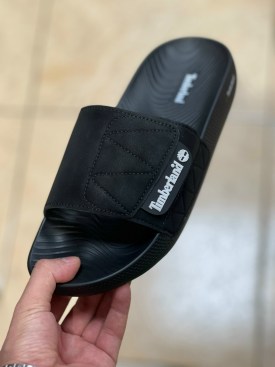 Сланцы