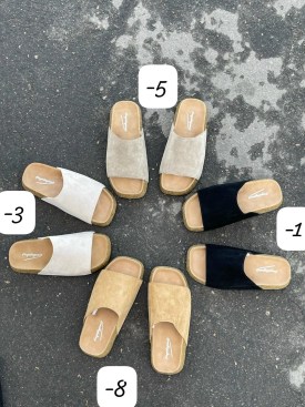 Сланцы