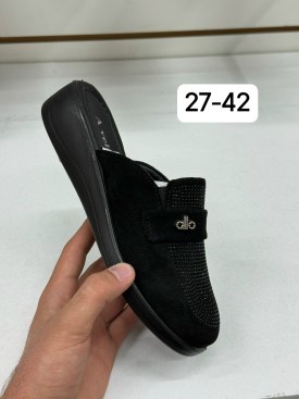 Сланцы