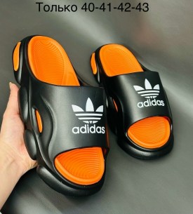 Сланцы