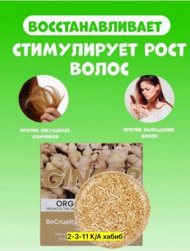 Одежда