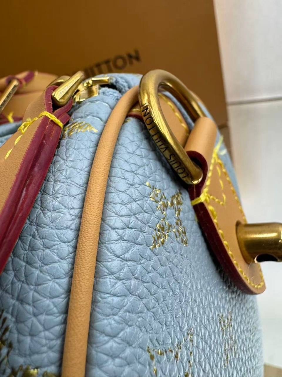 cумка louis vuitton,модная сумка,louis vuitton сумка на плечо,сумки для женщин,louis vuitton speedy
