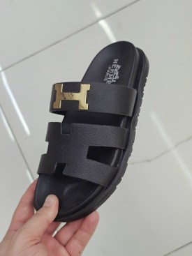 Сланцы
