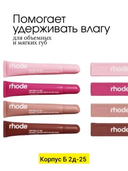 Одежда