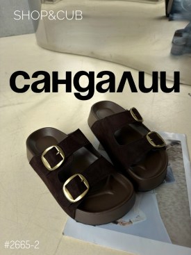 Сланцы