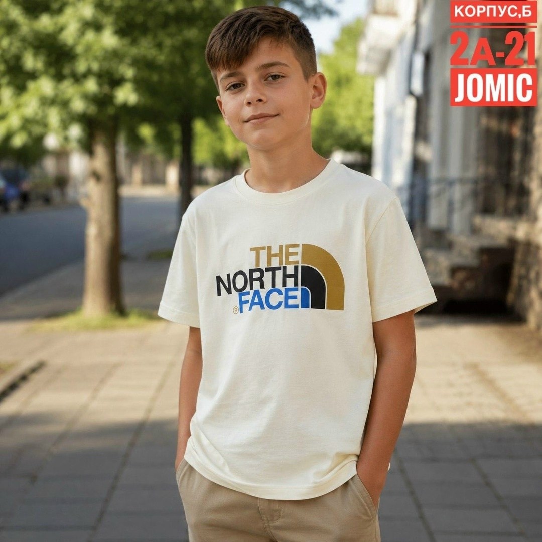 футболки the north face,футболки для мальчиков the north face,футболки для девочек the north face,футболка the north face the north face,детская футболка the north face