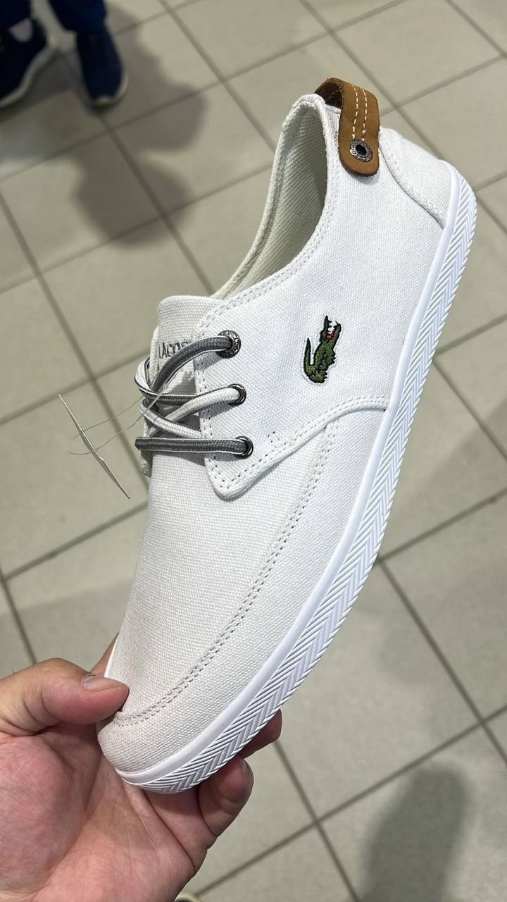 ,кеды lacoste,кеды lacoste мужские, лакоста,кроссовки lacoste