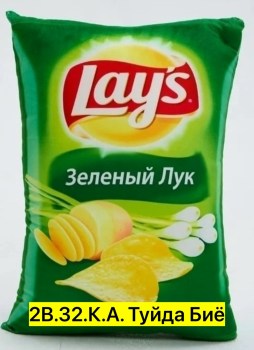 Одежда