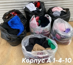 Одежда