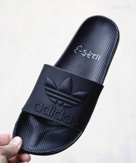 Сланцы