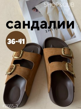 Сланцы